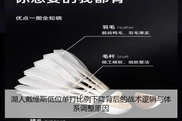 湖人戴维斯低位单打比例下降背后的战术逻辑与体系调整原因